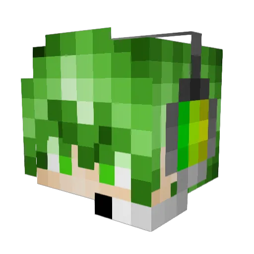 Tommy9999 Minecraft avatar head, 3D render