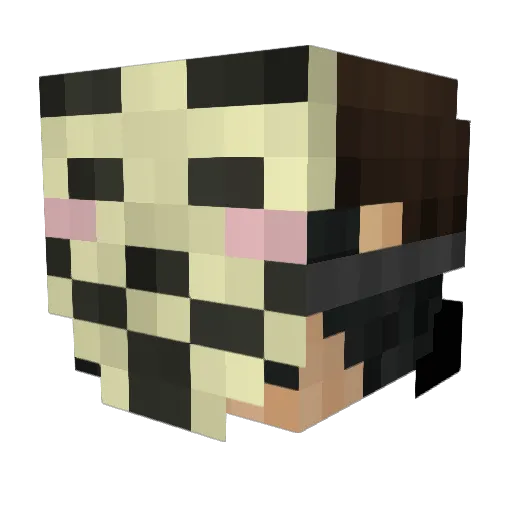 TommyGroin Minecraft avatar head, 3D render