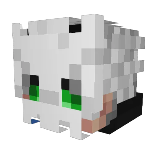 TommyRex350 Minecraft avatar head, 3D render