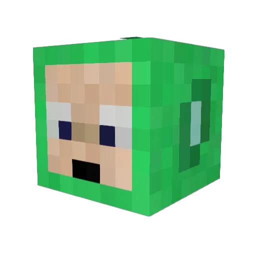 TommyShlug Minecraft avatar head, 3D render