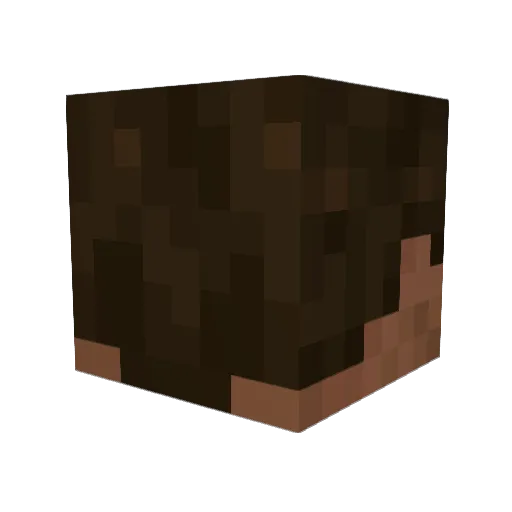 TommyT0mato Minecraft avatar head, 3D render