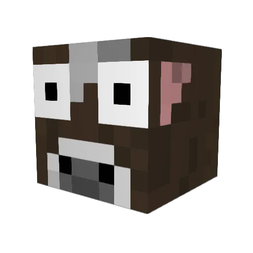 TommyTheTurtle98 Minecraft avatar head, 3D render