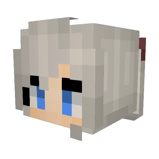 TommyTijger Minecraft avatar head, 3D render