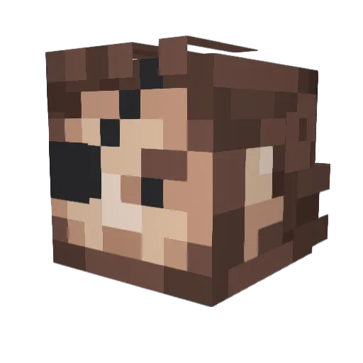 Tommy_Towers Minecraft avatar head, 3D render