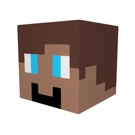 Tommyboy1836 Minecraft avatar head, 3D render