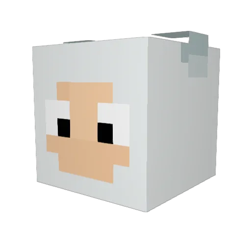 Tommychocolate Minecraft avatar head, 3D render
