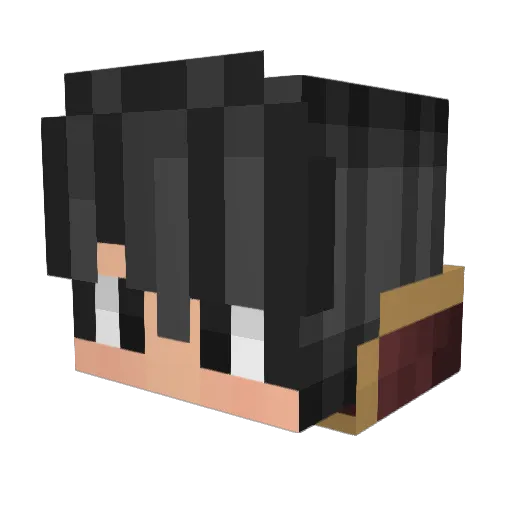Tommyfoxy2 Minecraft avatar head, 3D render