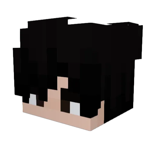 Tommylee0223 Minecraft avatar head, 3D render