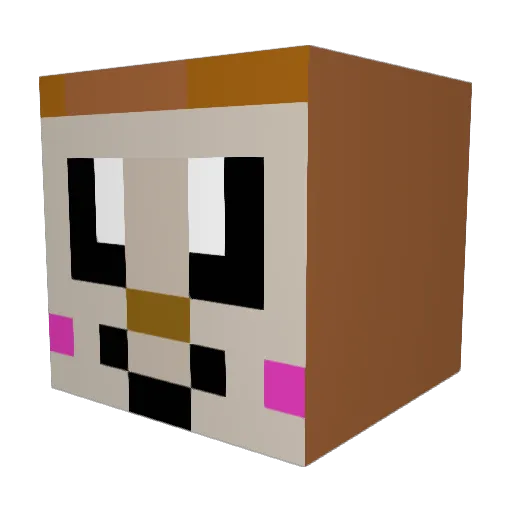 Tommytridfgg Minecraft avatar head, 3D render