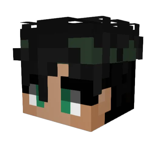 Tommyy06 Minecraft avatar head, 3D render