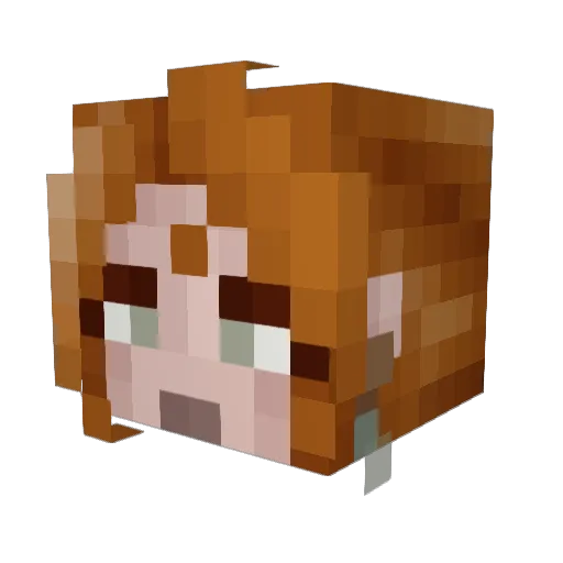 Tommyyy27 Minecraft avatar head, 3D render