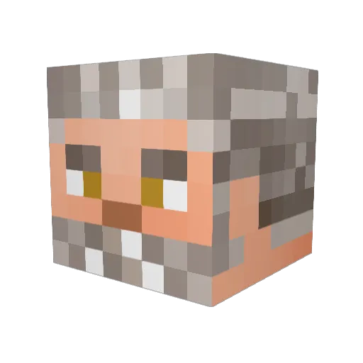 Tomniverse Minecraft avatar head, 3D render