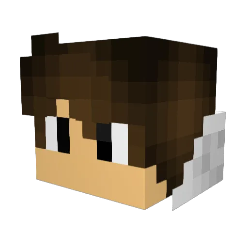 Tomo336 Minecraft avatar head, 3D render