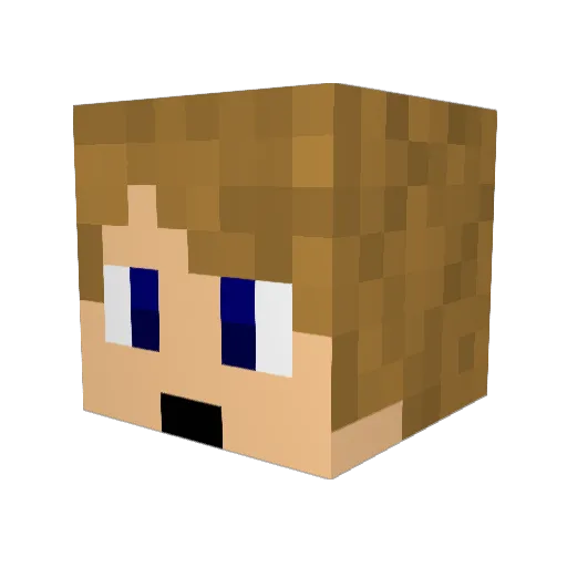 Tomo4392 Minecraft avatar head, 3D render