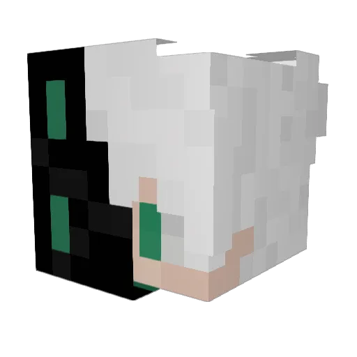 Tomochi121 Minecraft avatar head, 3D render