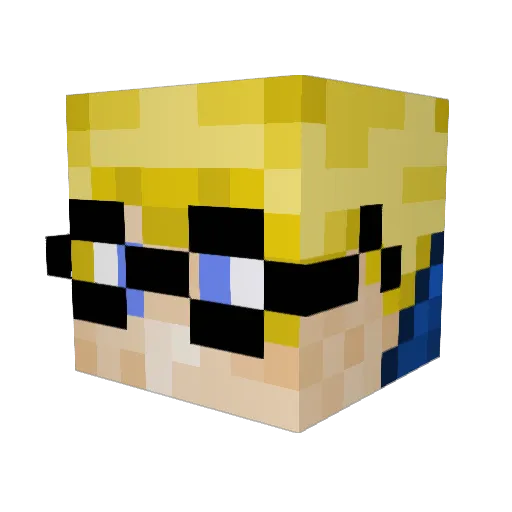 Tomohog Minecraft avatar head, 3D render