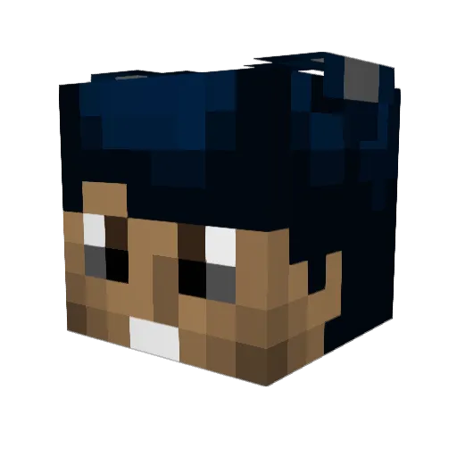 Tomon1414 Minecraft avatar head, 3D render