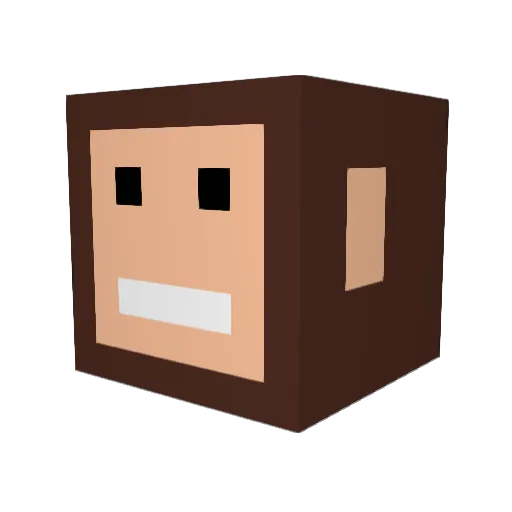 Tomonexe Minecraft avatar head, 3D render