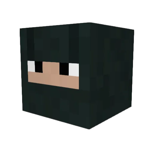Tomonom Minecraft avatar head, 3D render