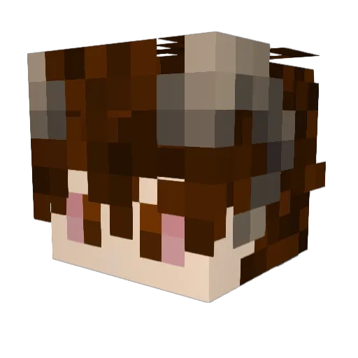 Tomorabaatar Minecraft avatar head, 3D render