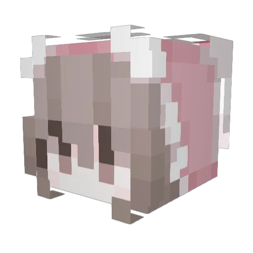 TomoriNao01 Minecraft avatar head, 3D render