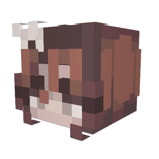 TomorrowsAnswer Minecraft avatar head, 3D render