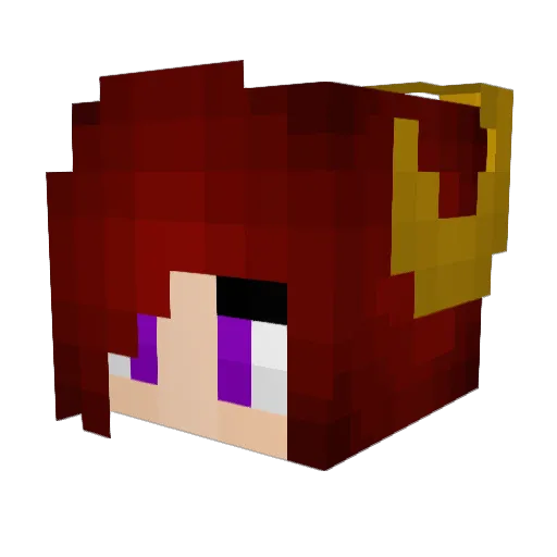 Tomorrowtoday Minecraft avatar head, 3D render