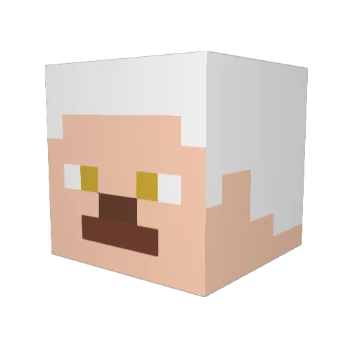 Tomprime1234 Minecraft avatar head, 3D render