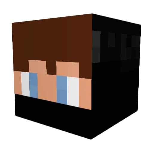 Tompro3580 Minecraft avatar head, 3D render
