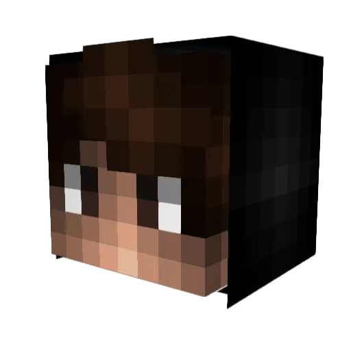 Tomro1 Minecraft avatar head, 3D render