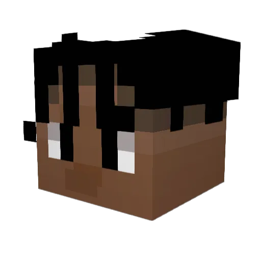 Tomrox6281 Minecraft avatar head, 3D render