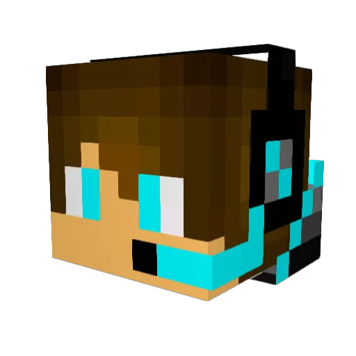 TomsCraft Minecraft avatar head, 3D render