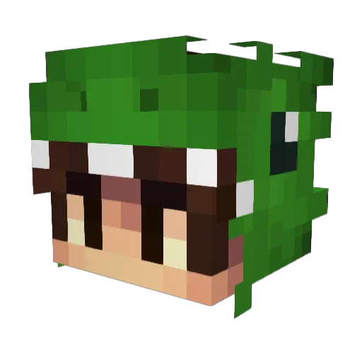 Tomsansol Minecraft avatar head, 3D render