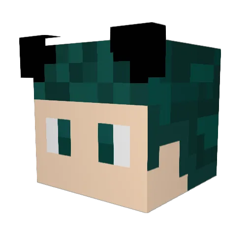 Tomsi109 Minecraft avatar head, 3D render