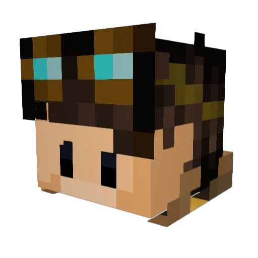 Tomsolo_SW Minecraft avatar head, 3D render