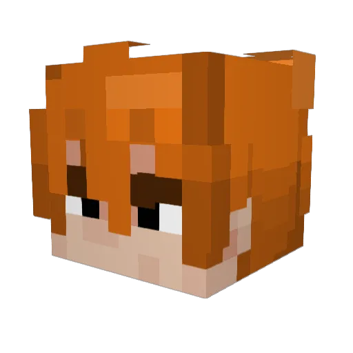Tomstone9448 Minecraft avatar head, 3D render