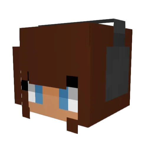 Tomstormer Minecraft avatar head, 3D render