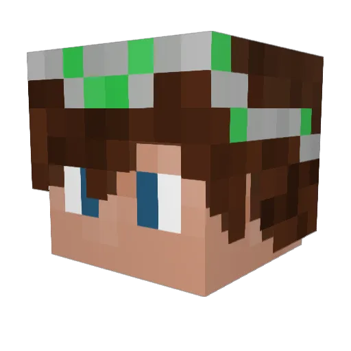 Tomte2010 Minecraft avatar head, 3D render