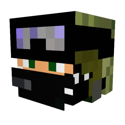 Tomthebomb47 Minecraft avatar head, 3D render