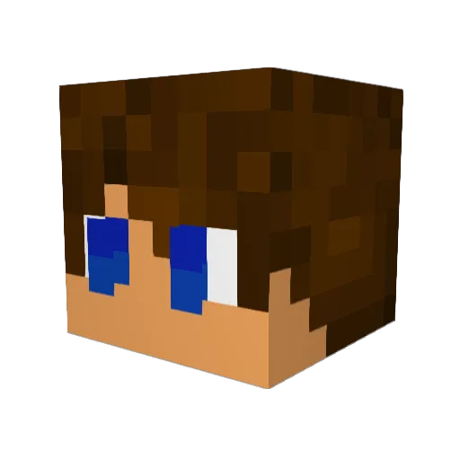Tomthefailure Minecraft avatar head, 3D render