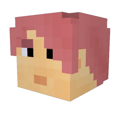 Tomtom0305 Minecraft avatar head, 3D render