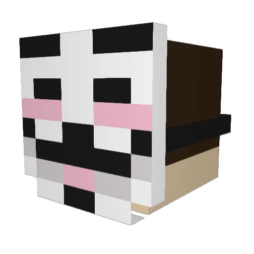 Tomtri Minecraft avatar head, 3D render
