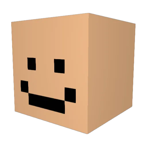Tomvdc911 Minecraft avatar head, 3D render