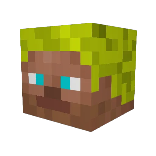 TomysterX Minecraft avatar head, 3D render