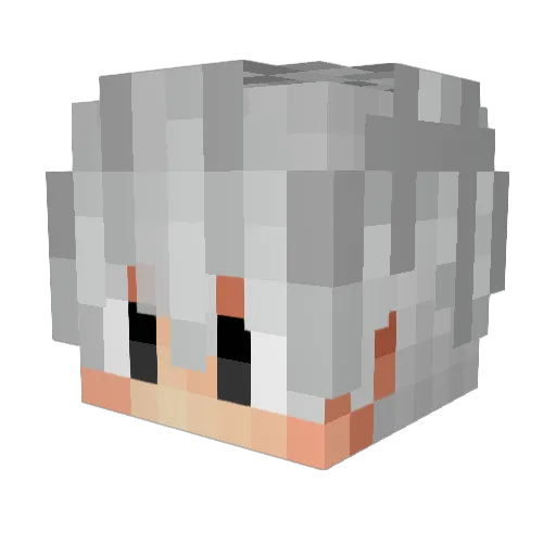 Tomytiger Minecraft avatar head, 3D render