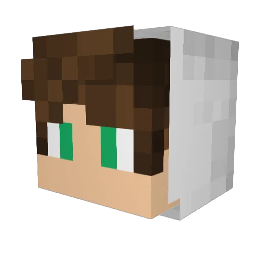 Tomytoz Minecraft avatar head, 3D render