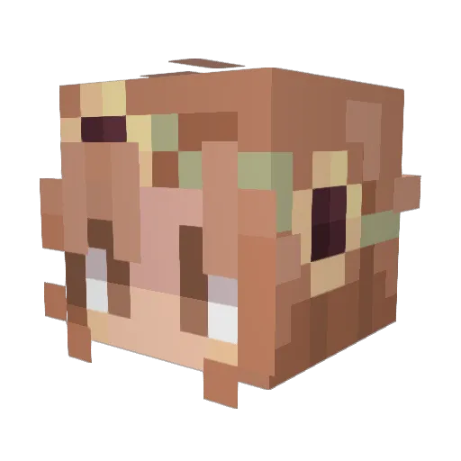 TonKa_6 Minecraft avatar head, 3D render