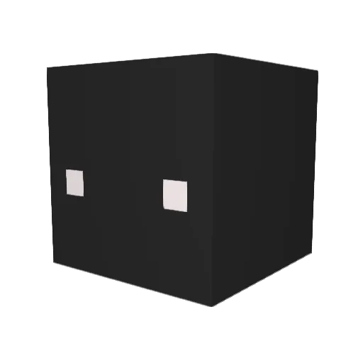 TonTon51 Minecraft avatar head, 3D render