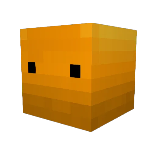 TonTon5 Minecraft avatar head, 3D render