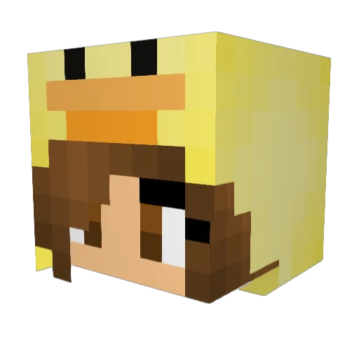 TonaDuck Minecraft avatar head, 3D render